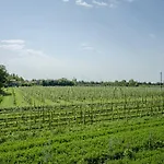 Alloggi Agrituristici Le Vignole *