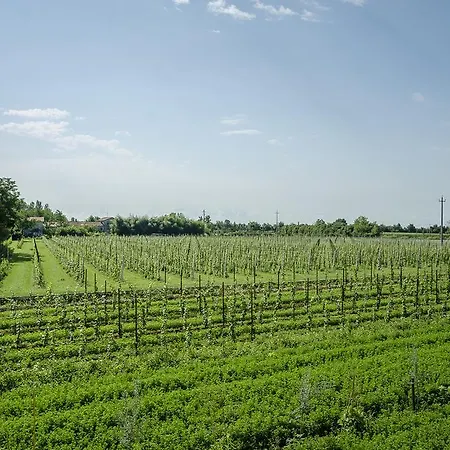 Alloggi Agrituristici Le Vignole *