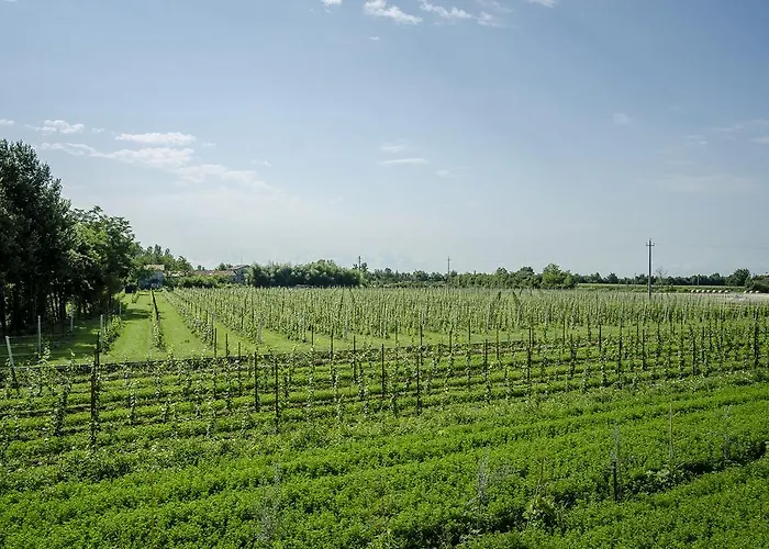 Alloggi Agrituristici Le Vignole *