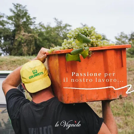 ファームステイ Alloggi Agrituristici Le Vignole Cordignano