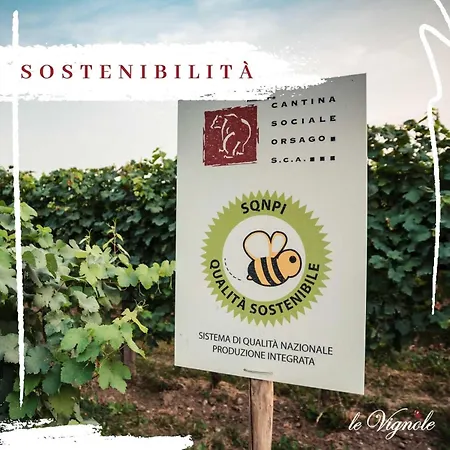 ファームステイ Alloggi Agrituristici Le Vignole