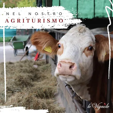 Alloggi Agrituristici Le Vignole ファームステイ Cordignano