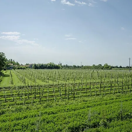 Alloggi Agrituristici Le Vignole *